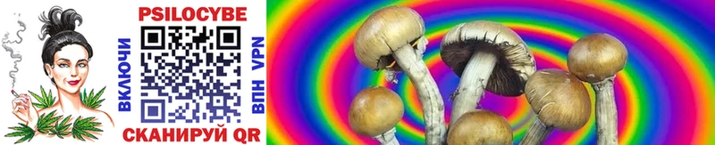 Купить где  Елизово  Галлюциногенные грибы Psilocybe 