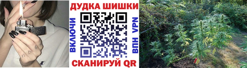 Купить закладки  Елизово  Канабис тримм 